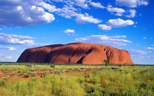 開端司機女兒怎么死的?電視劇《開端》司機女兒死因是什么？
