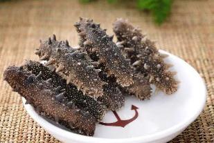 海參有幾種類型 海參都有什么種類