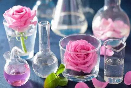 純露是什么意思？常見的純露有哪些？