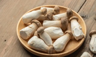 菌菇可以秋天種嗎,菌菇可以秋天種嗎視頻