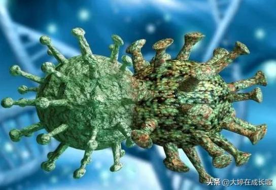 XBB毒株到底該怎么預防？我們一起來了解一下