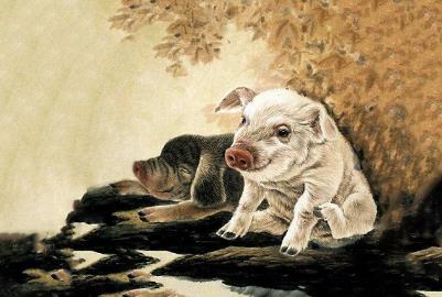 屬豬人2023年全年運勢及運程 屬豬人2023年財運運勢