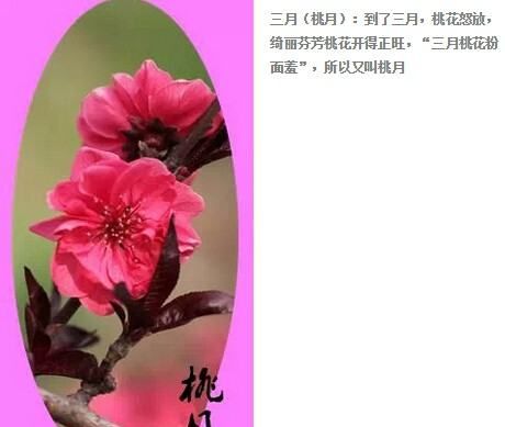 桃月是什么意思 在我國桃月是指什么呢