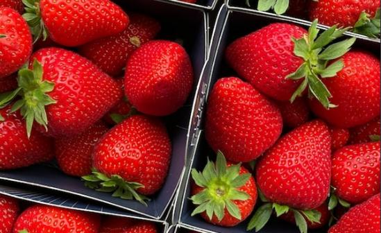 丹東站幾乎每人都拎著泡沫箱子 熱怎么回事呢?