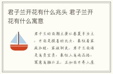 君子蘭開花有什么兆頭 君子蘭開花有什么寓意