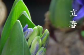 2023年立春是幾月幾日 立春的“倒春寒”介紹