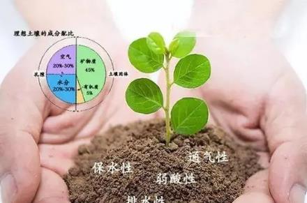 土壤有機(jī)質(zhì)含量與什么有關(guān) 土壤有機(jī)質(zhì)含量標(biāo)準(zhǔn)
