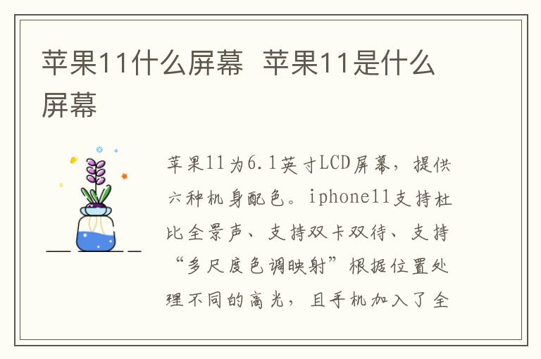 蘋果11什么屏幕  蘋果11是什么屏幕