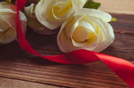 白玫瑰花語是什么 白玫瑰花語介紹