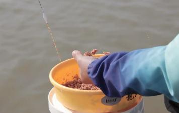 釣魚打窩量多少合適(釣魚打窩量多少)