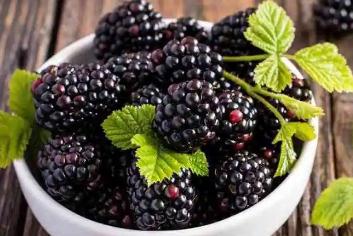 孕婦可以吃桑葚嗎 桑葚有什么功效