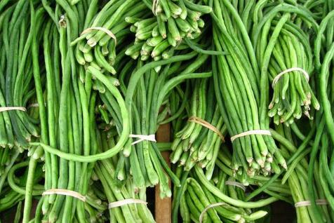 豇豆是雙子葉還是單子葉?種植條件有有哪些?