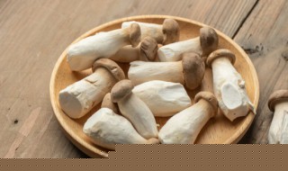 秋天種香椿種子可以嗎(香椿種子怎樣播種)