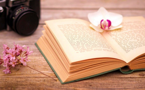 雙魚座女生不喜歡什么樣的男生