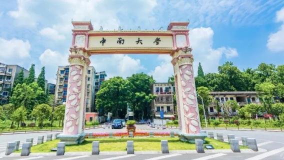 中南大學在哪個城市（中南大學的實力究竟有多強）