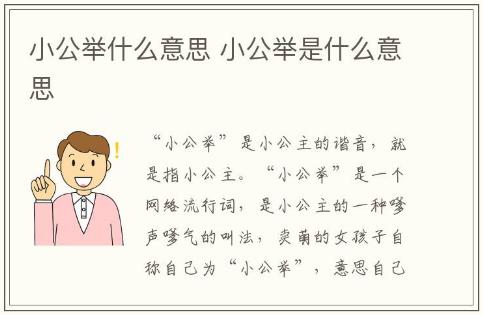 小公舉什么意思 小公舉是什么意思