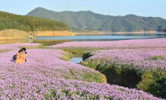 南平市春季賞花去哪里 推薦南平市春季賞花好去處
