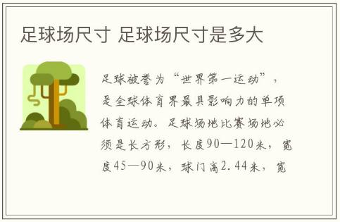 足球場尺寸介紹 足球場尺寸是多大