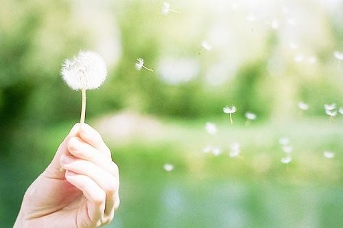 閨蜜結婚文案短句 閨蜜結婚祝福句子