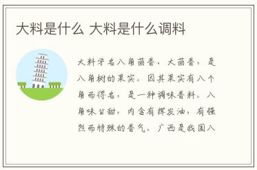 大料是什么 大料是什么調料