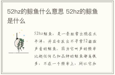 52hz的鯨魚什么意思 52hz的鯨魚是什么