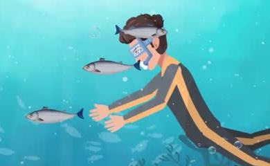 渾水摸魚是什么意思 摸魚的意思是什么