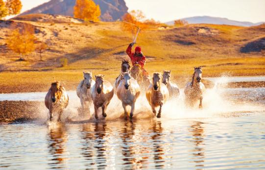 丙午年是什么命 丙午年生人五行屬什么命