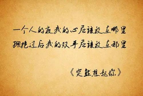 一個人的夜我的心應該放在哪里歌名（是什么歌）