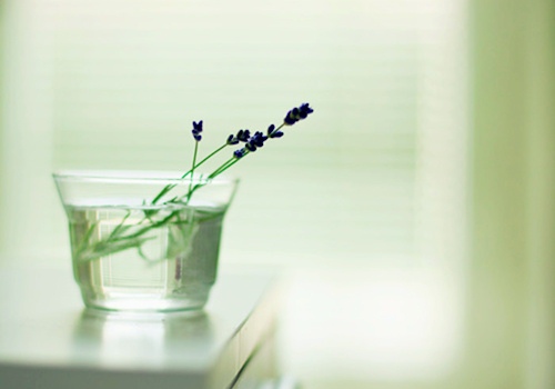 旅游快樂的心情短語 開心旅游說說心情短語