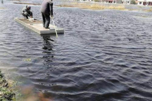 腐植酸鈉水產(chǎn)養(yǎng)殖作用 腐植酸鈉在水產(chǎn)養(yǎng)殖中的作用