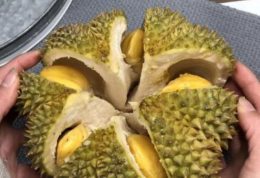 榴蓮死包是什么意思 榴蓮死包是什么意思啊