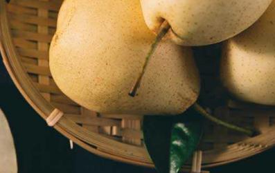 梨的由來和歷史介紹(梨的名字的由來)