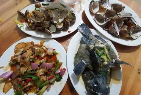 4菜1500元最新消息:廣西4菜1500元餐館老板“有人故意整我”