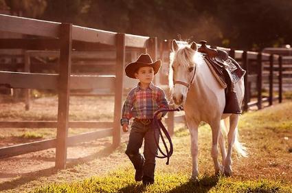 土耳其人吃馬肉嗎？土耳其人為什么不吃馬肉？