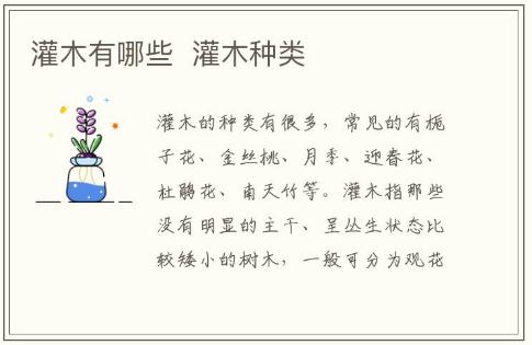 灌木有哪些 灌木種類