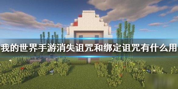 我的世界消失詛咒有什么用(消失詛咒和綁定詛咒介紹)