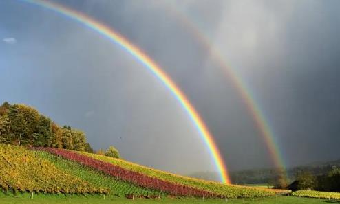 為什么雨后天上掛著彩虹 原因在這里哦