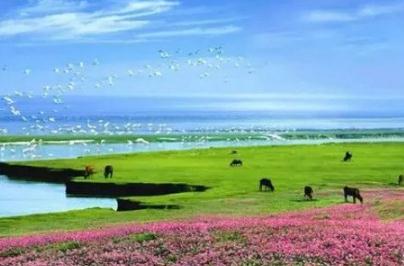 鄱陽湖讀bo還是po,鄱字讀音是po(是中國最大的淡水湖)