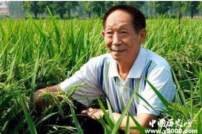 關于袁隆平生平簡介(袁隆平的生平簡介和成就)