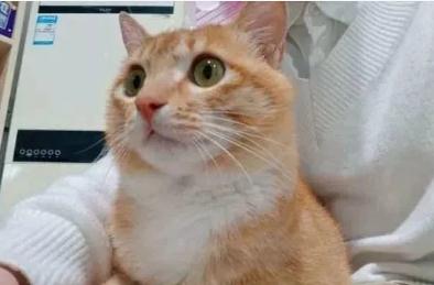 高中生不聽話怎么辦 高中生不聽話家長(zhǎng)的做法