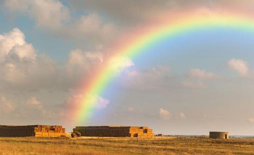 為什么下雨之后會出現彩虹呢 答案原來是這樣啊!