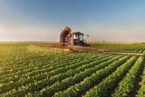 農(nóng)業(yè)補(bǔ)貼都包括哪些項(xiàng)目（農(nóng)業(yè)項(xiàng)目補(bǔ)貼有哪些）