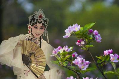 淮海戲是哪個地方的劇種 淮海戲是哪個地方的劇種