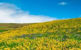 風和日麗造句  風和日麗造句二年級簡單