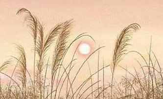 禍不單行歇后語下一句 禍不單行上一句怎么接