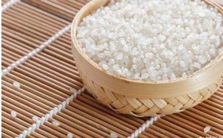 全國哪個地方的大米最香最好吃