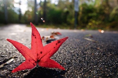 仔細的反義詞  仔細的反義詞有哪些