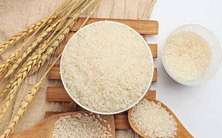 大米的組成和各部分的作用