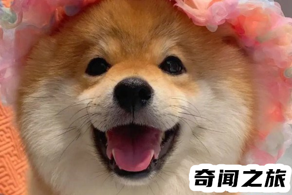 女生叫男生修勾是什么意思(一種很親密的關系)