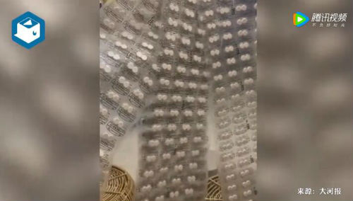 網友囤1000片退燒藥全砸手里了 網友：做成頭簾吧